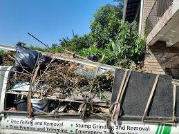 Shed Removal in Mayer, MN